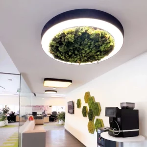 Solutions d'éclairage - Luminaires suspendus